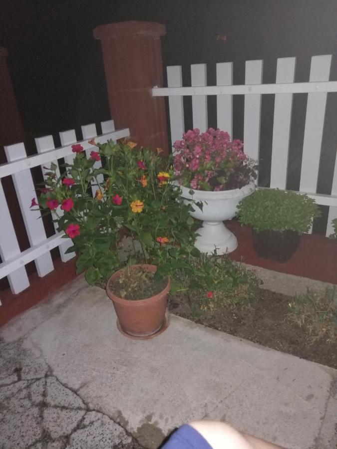 Apartment Barbara Kulen Vakuf Zewnętrze zdjęcie