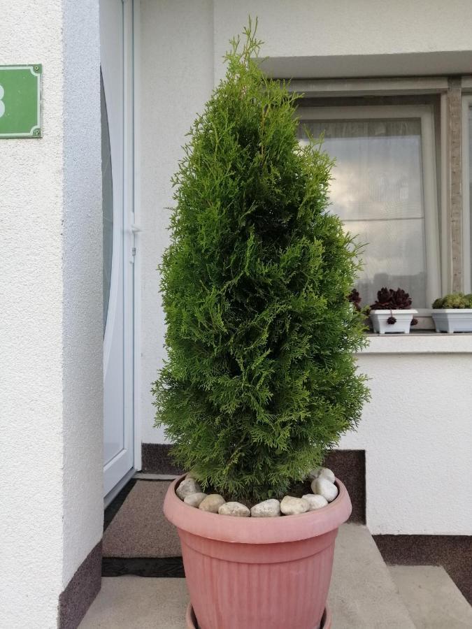 Apartment Barbara Kulen Vakuf Zewnętrze zdjęcie